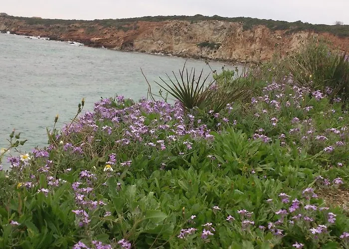 S'apprigu Panzió Càbras