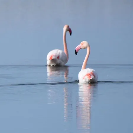 Alojamento de Acomodação e Pequeno-almoço S'apprigu