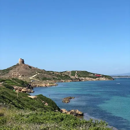 S'apprigu